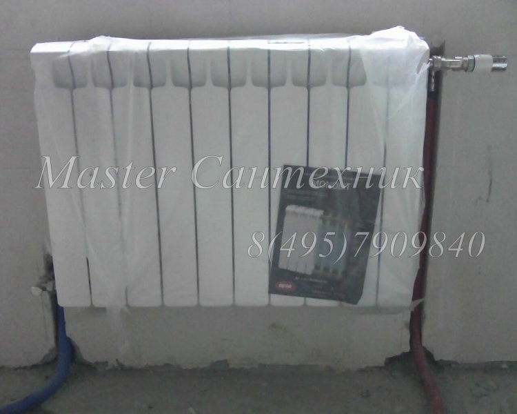 IMG0431A.jpg