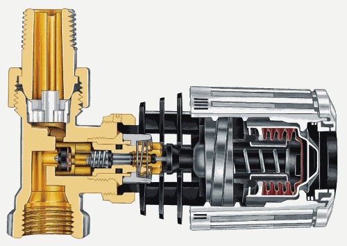 termoregulyator.jpg