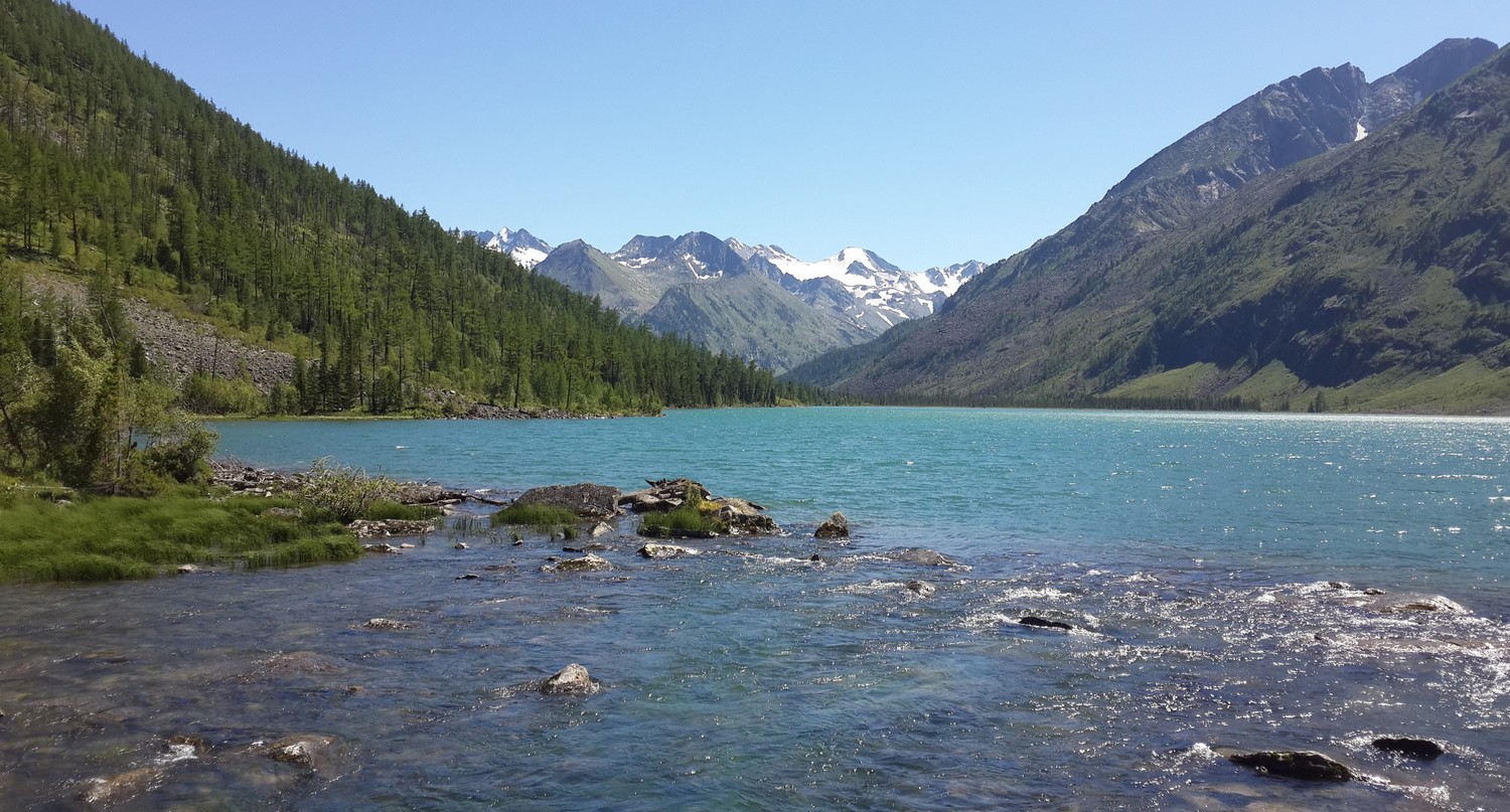2015-07-27 13.56.49.jpg