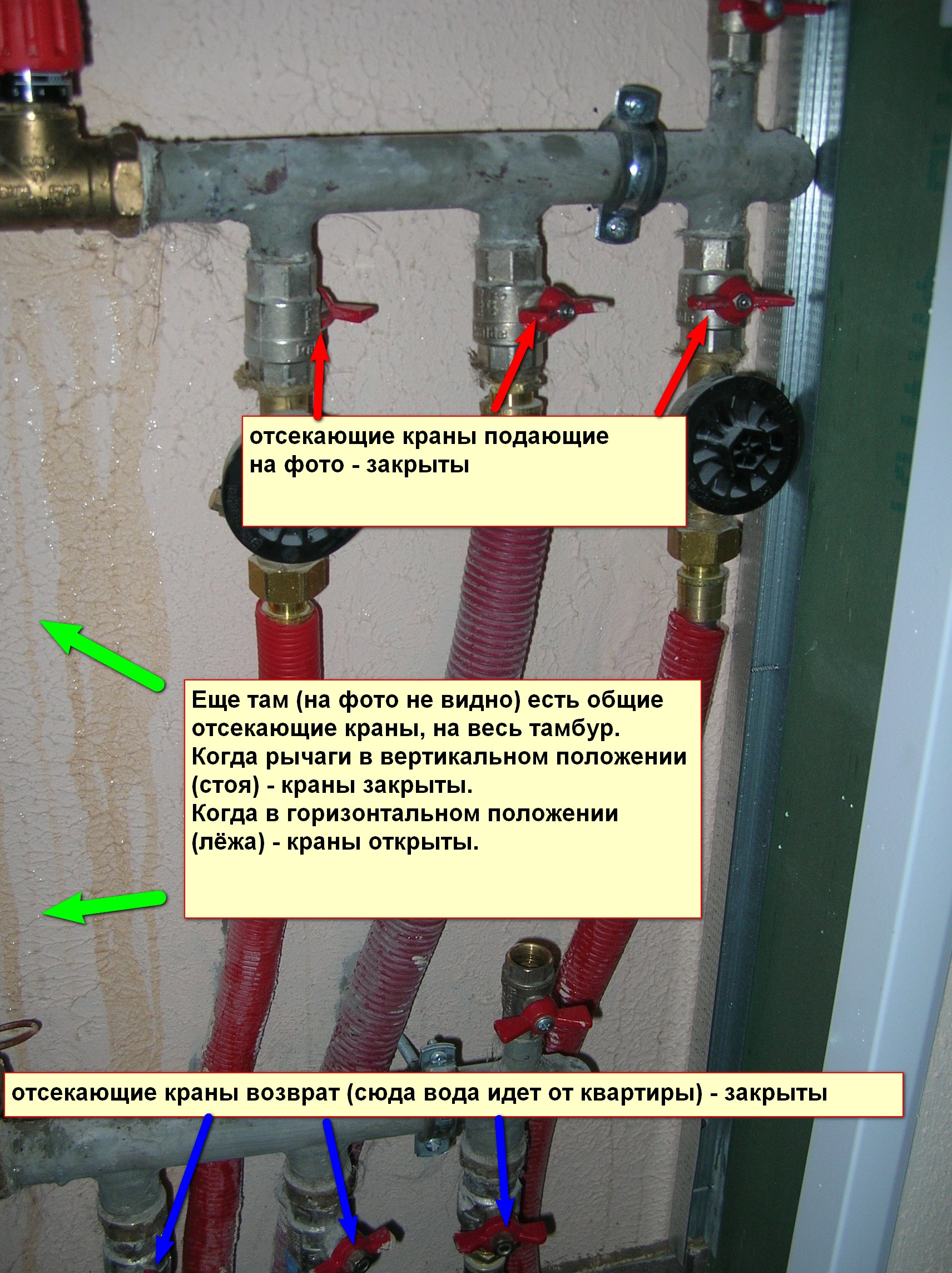DSCN6455+.jpg