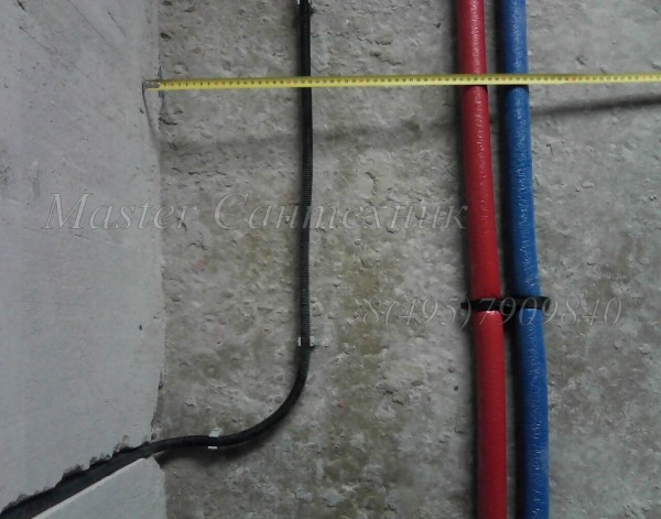IMG0509A.jpg